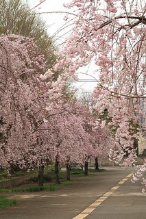 7DK_0046.JPG