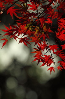 7DK_0059.JPG