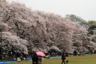 7DK_0066.JPG