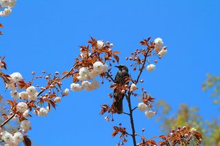 7DK_0610.JPG