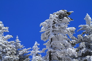7DK_0831.JPG