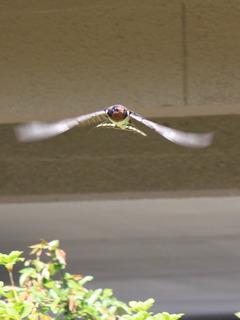 7DK_0953.JPG