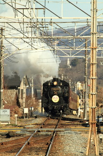 7DK_1981.JPG