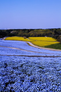 7DK_2326.JPG