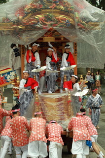 7DK_5526.JPG