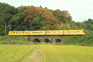 7DK_6906.JPG