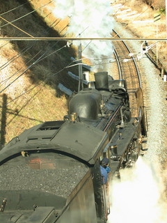 7DK_7981.JPG