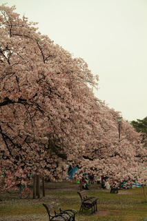 7DK_8572.JPG