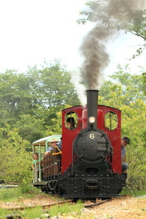 7DK_8971.JPG