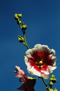 7DK_9578.JPG