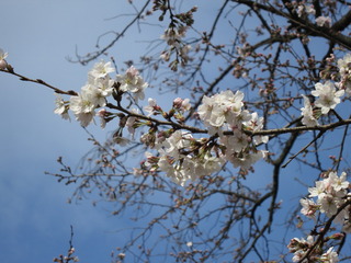 IMG_7788.JPG