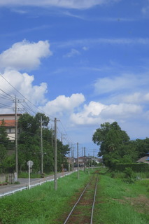 IMG_8777.JPG