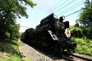 IMG_9894.JPG