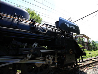 IMG_9895.JPG