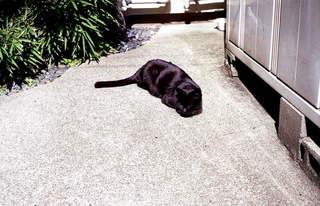 img103s.JPG
