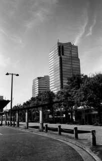 img163s.JPG