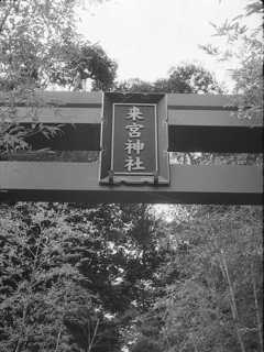 img193bs.JPG