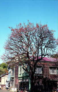 img313.JPG
