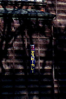 img313s.JPG