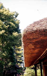 img315.JPG