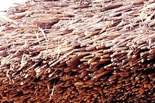 img315s.JPG