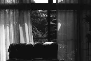 img339as.JPG