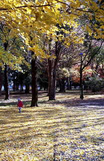 img545s.JPG