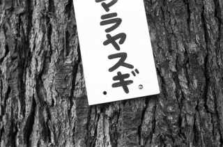 img549ko.JPG