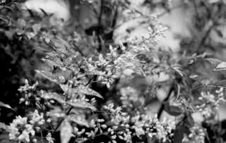 img700M4sk.JPG