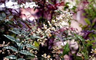 img716al.JPG
