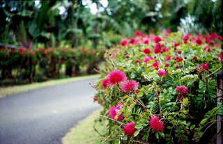 img842s.JPG