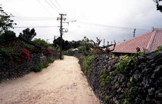 img875s.JPG