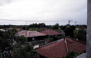 img878s.JPG